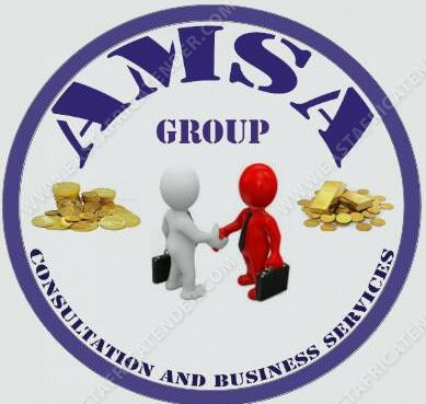 AMSA GROUP